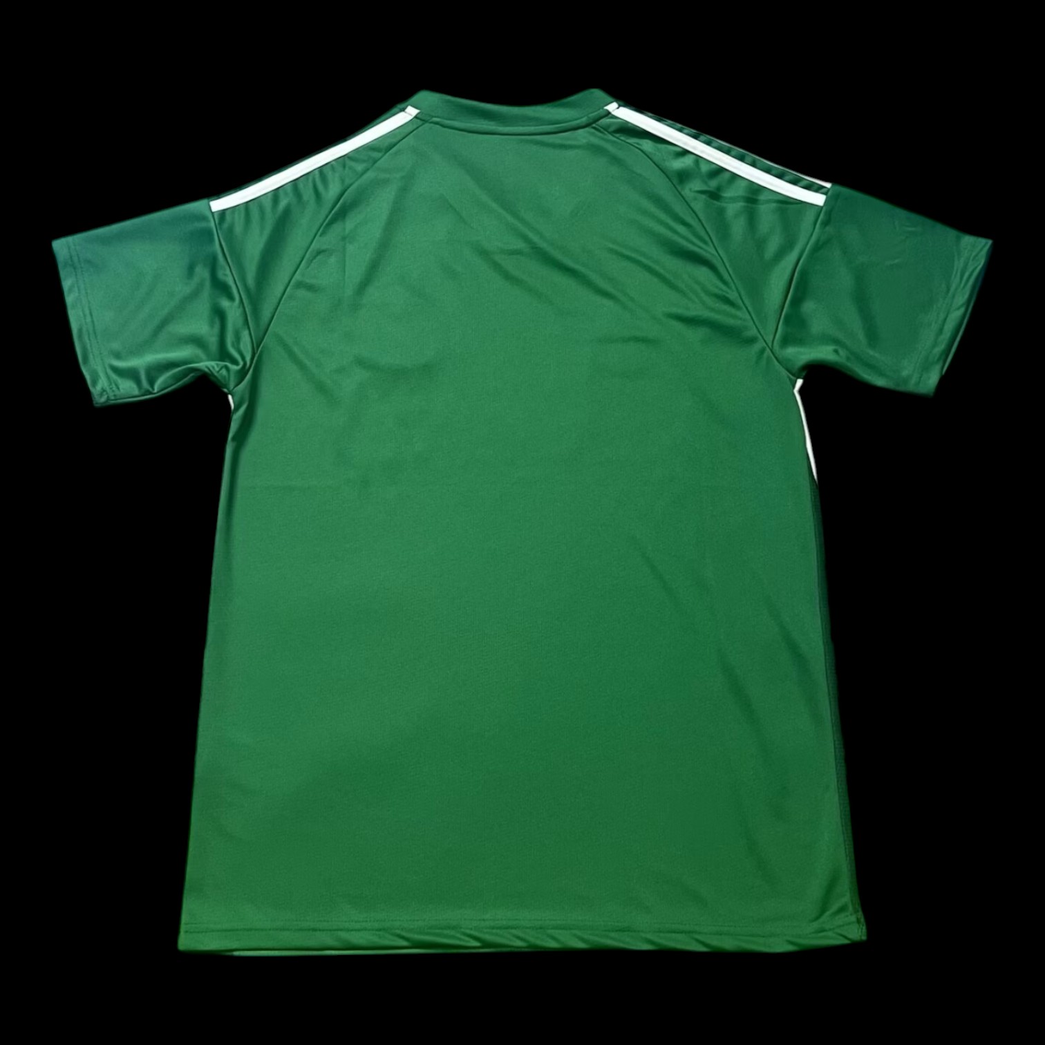 Vue arrière Newcastle Maillot Extérieur 2526